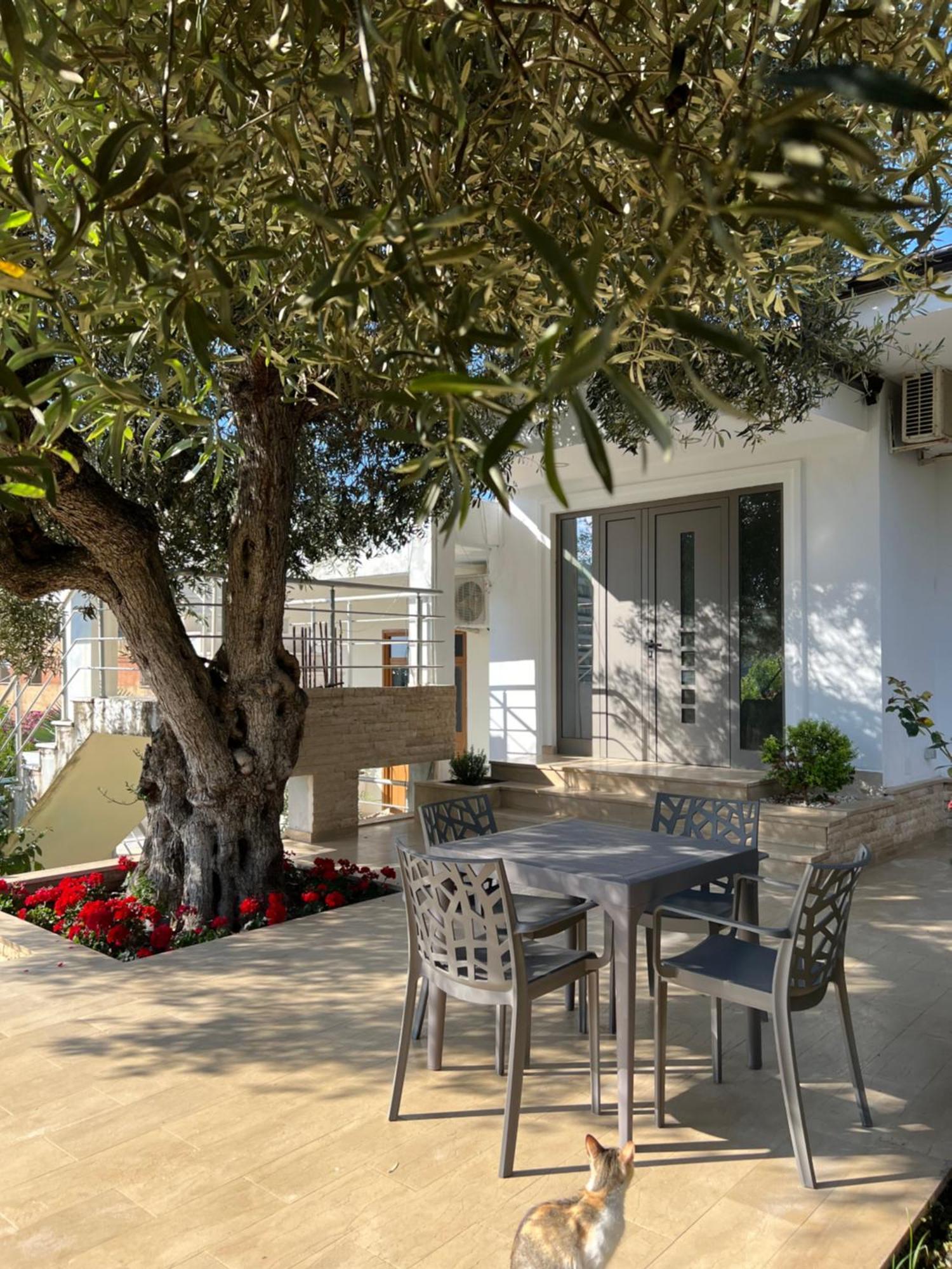 Adriatichaven Apartament
